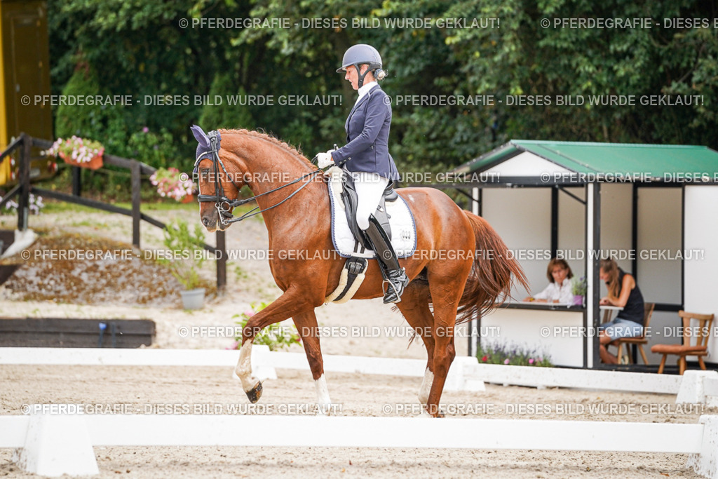 DSC05131 | Pferdegrafie