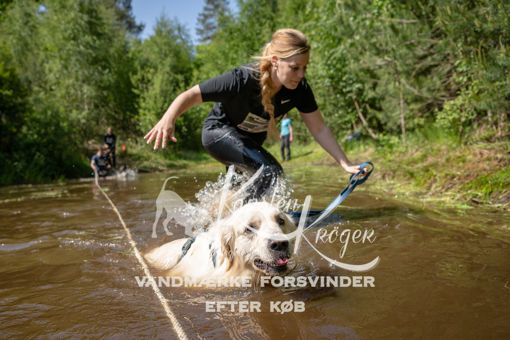 1514DKK992652 | kk-dogfotos