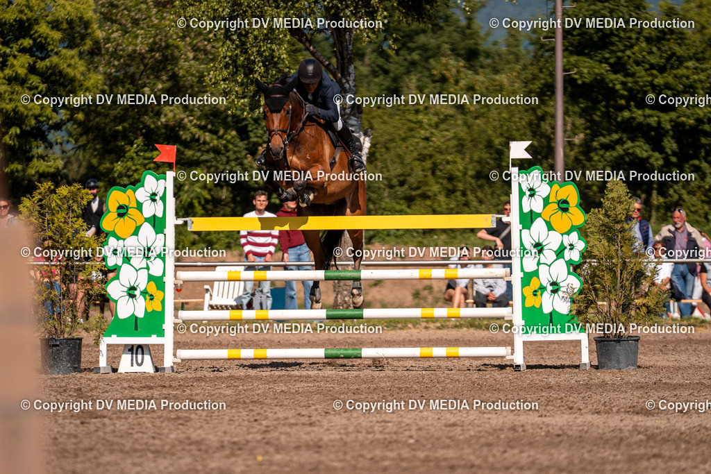 Eppelheim Tag 3-875 | dv-media-shop - Realisiert mit Pictrs.com