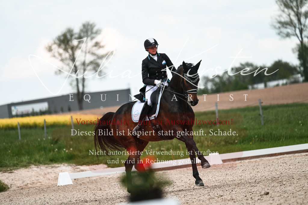 20230514_JK-Röhrsdorf-21-266 | Pferde- und Turnierfotografie in Westsachsen. Pferdeportraits, Auftragszeichnungen und intuitive Kunst.