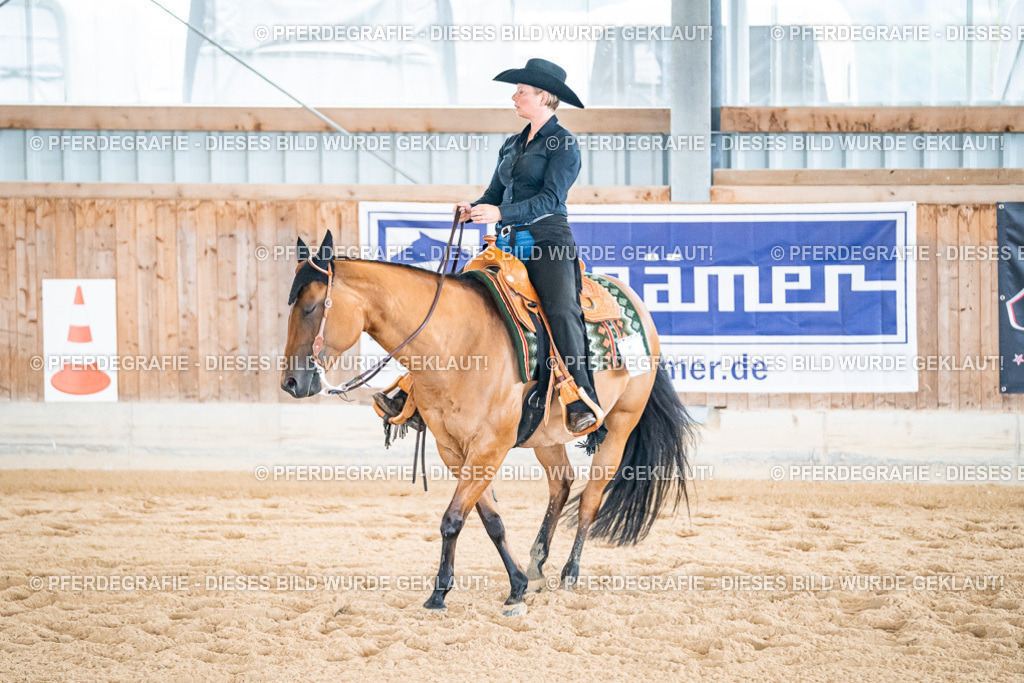 DSC01888 | Pferdegrafie