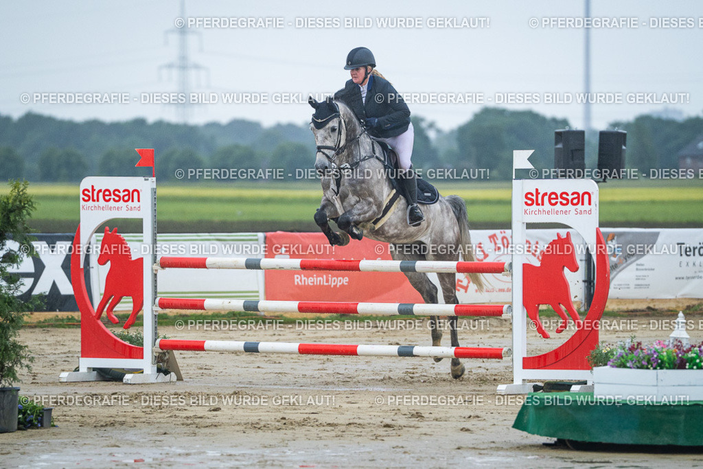 DSC04226 | Pferdegrafie