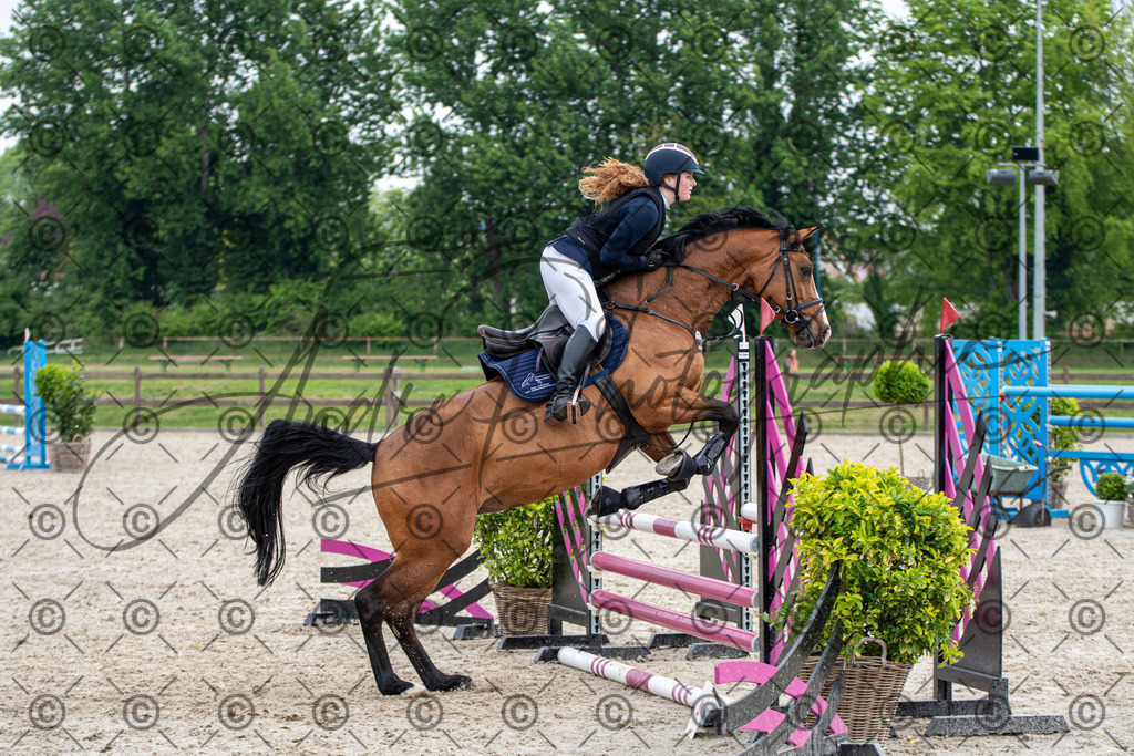 KPT_2110 | andre_photographic