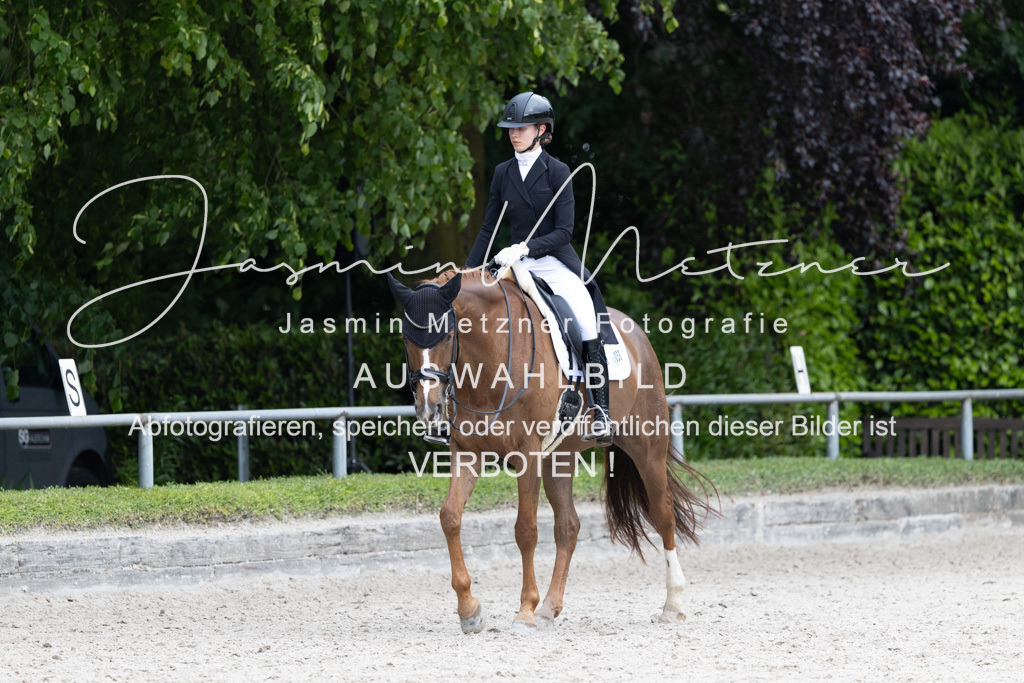 2J4A7403 | jasminmetznerfotografie