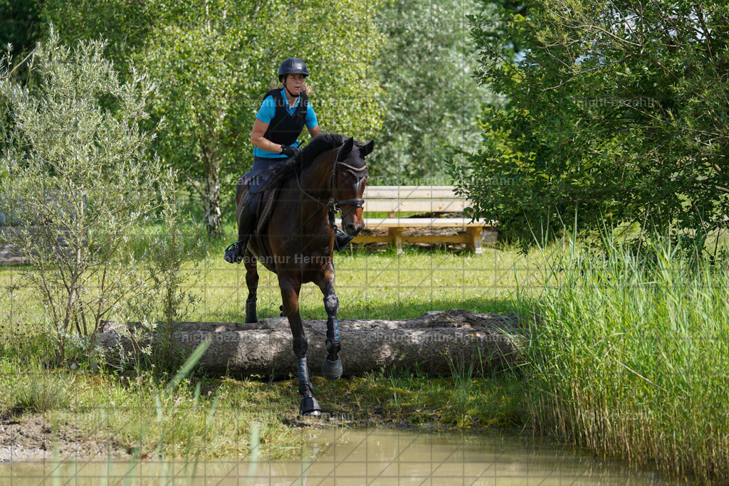 20240622-FAH07866 | Turnierfotografen Bayern, Reitsportbilder aus dem Geländekurs mit Felix Etzel auf dem Gut Waitzacker 2024