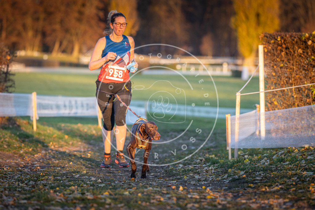 CaniXpix_DV3A5761 | Hundefotografie, Tierfotograf, Pfotenfotografie, Fotoshooting Hund, Hunde Portrait, Hundesport, Hundeportraits, Heideshooting, Hunde, Sportfotograf, Hundefotograf, Turnierhundsport, THS,  - Realisiert mit Pictrs.com