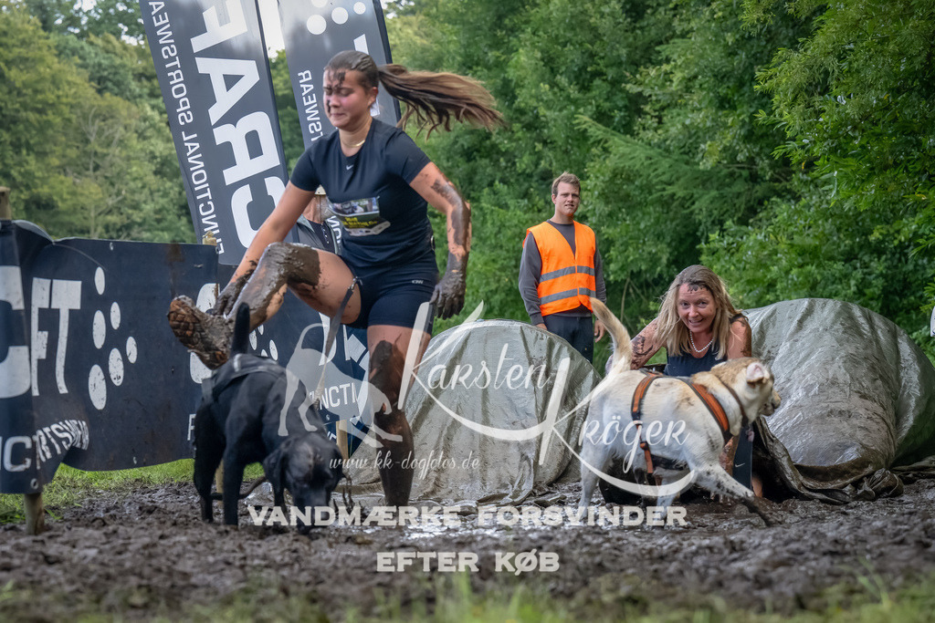 1151_ZZ94576-Bearbeitet | kk-dogfotos