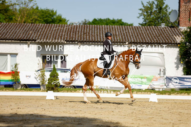 _62_2495 | larahueckfotografie