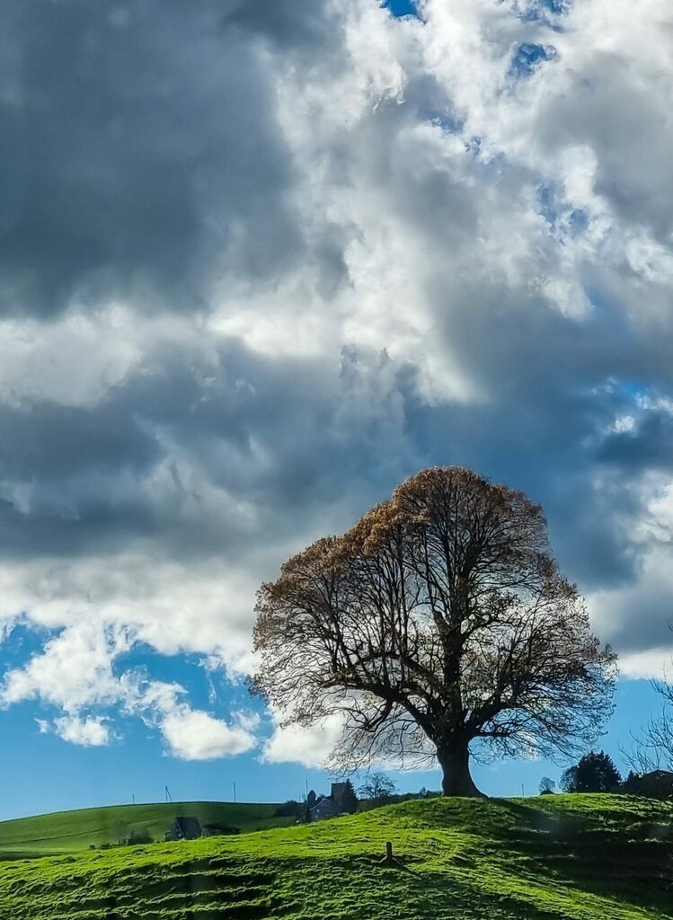 PSX_20221022_232105 | mtkfoto_ - Realisiert mit Pictrs.com