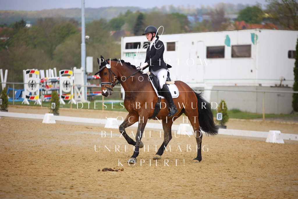 IMGT8240 | pl-fotografie