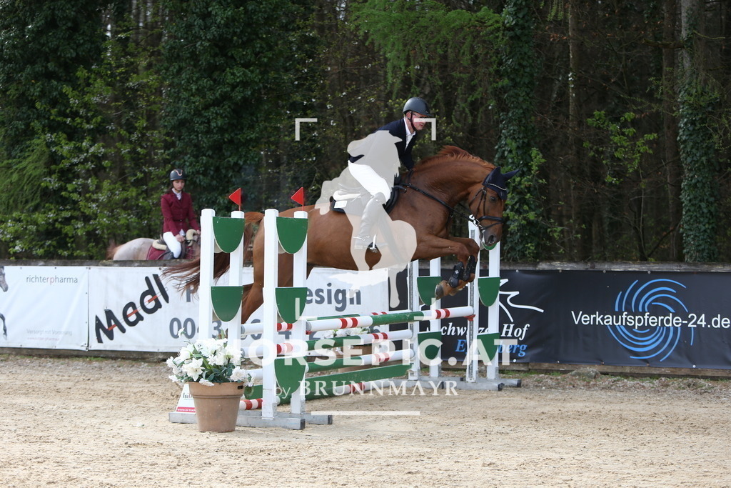 DL2Q0712 | Willkommen bei Brunnmayr - Design & Fotografie – Ihrem Spezialisten für Reitturniere und Pferdeveranstaltungen in Oberösterreich, Salzburg und Bayern! Seit über 17 Jahren sind wir leidenschaftlich dabei.