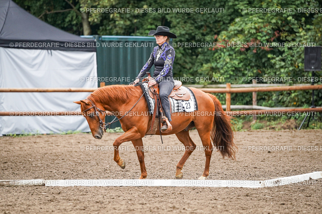 DSC03680 | Pferdegrafie