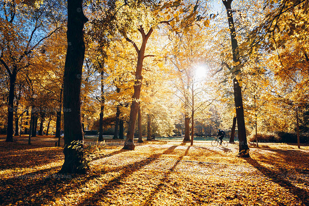 Clara Park | Der Clara-Zetkin-Park in Leipzig ist ein beliebter Ort für Natur, Sport und Erholung – perfekt für Spaziergänge, Jogging und entspannte Stunden im Grünen. - Realisiert mit Pictrs.com