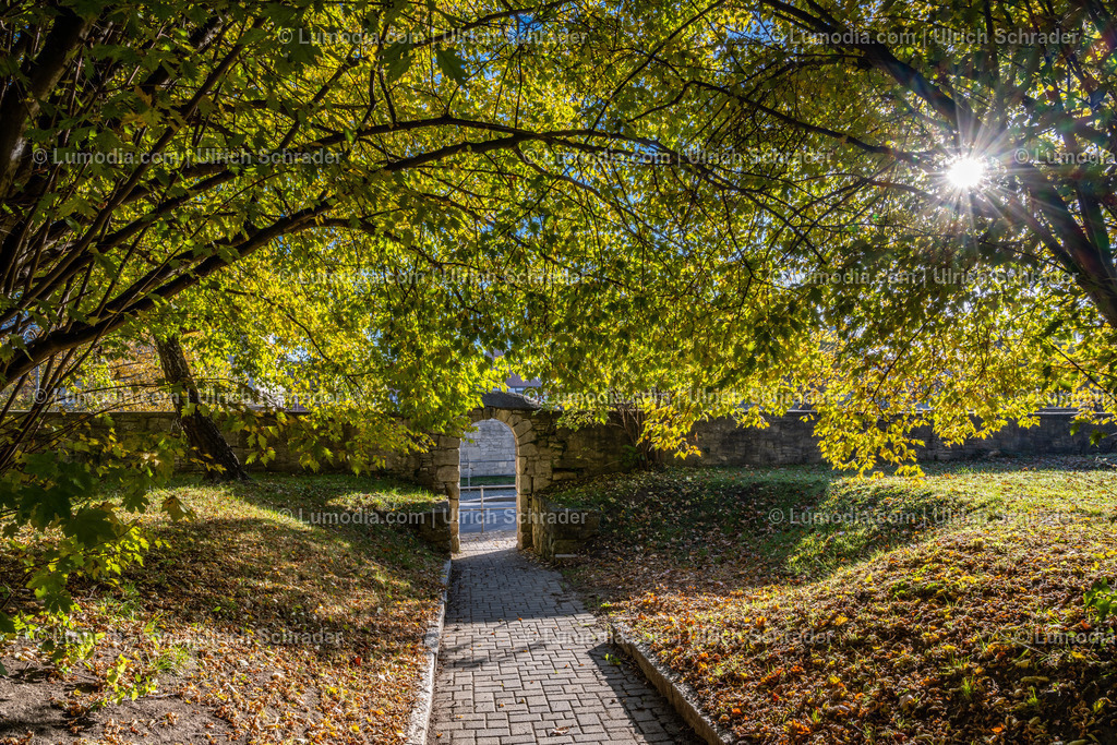10049-12737 - Herbst in Anderbeck | Stockfoto und Bilderpool mit Bildmaterial aus Deutschland, dem Harz, Halberstadt, Quedlinburg, Wernigerode und weltweit. Qualitativ hochwertige und professionelle Fotos anschauen und kaufen. - Realisiert mit Pictrs.com
