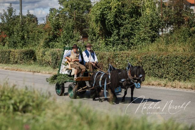 7V6A0975 | natalia-nirschl-photography