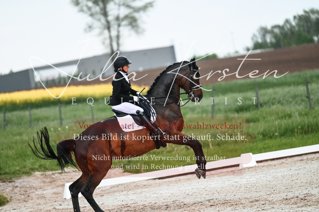 DSC_4213 | Pferde- und Turnierfotografie in Westsachsen. Pferdeportraits, Auftragszeichnungen und intuitive Kunst.