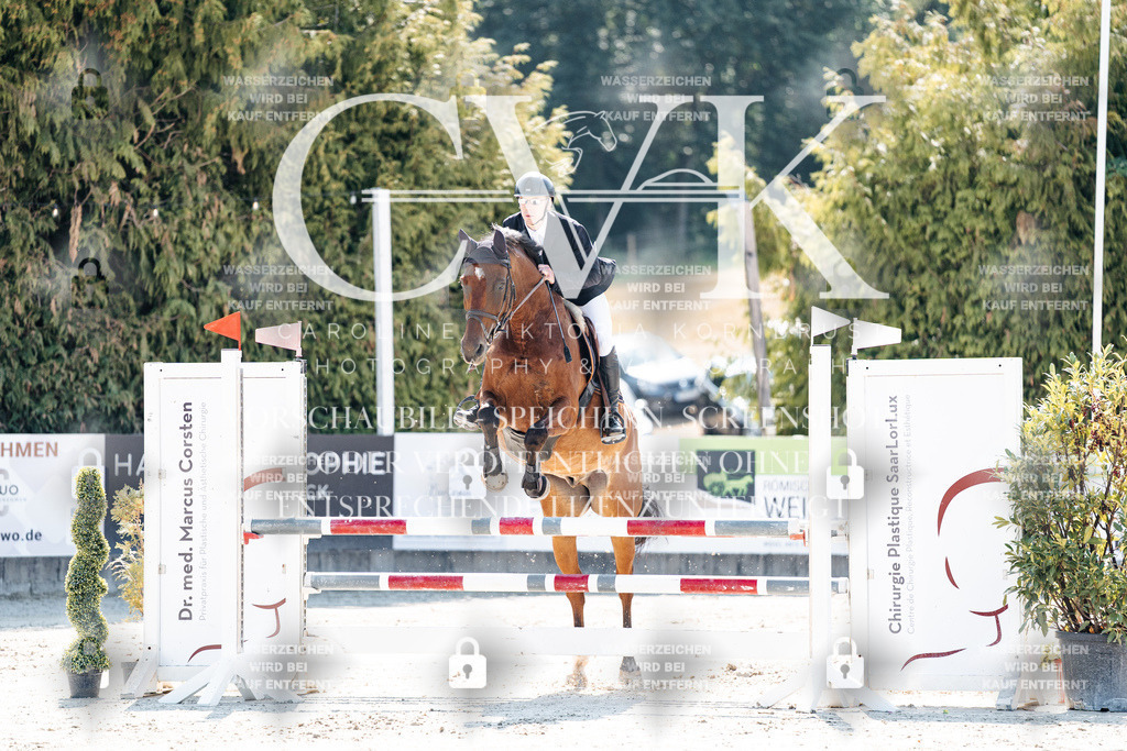 CK908582 | Turnierfotografie Pferdefotografie Trier Rheinland-Pfalz Pferdesport Reitsport Tierfotografie Sportfotografie Pferdevideo Pferdevideografie Equestrianvideography equestrianphotography  - Realisiert mit Pictrs.com