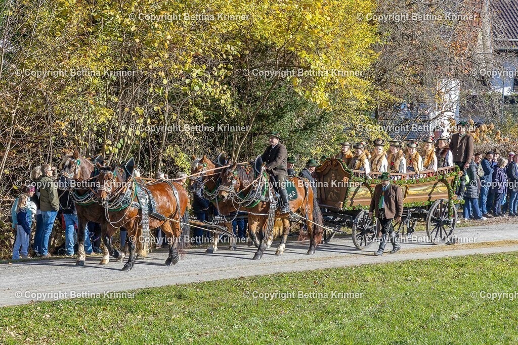LBT25-544 | foto-bettina-krinner - Realisiert mit Pictrs.com