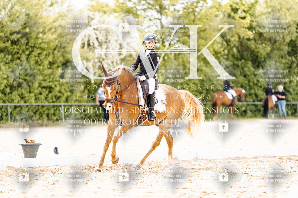 CK902559 | Turnierfotografie Pferdefotografie Trier Rheinland-Pfalz Pferdesport Reitsport Tierfotografie Sportfotografie Pferdevideo Pferdevideografie Equestrianvideography equestrianphotography  - Realisiert mit Pictrs.com
