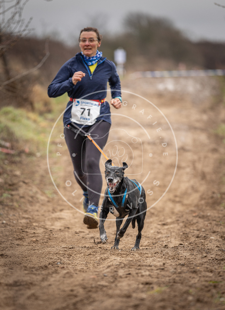 DV3A9641 | Hundefotografie, Tierfotograf, Pfotenfotografie, Fotoshooting Hund, Hunde Portrait, Hundesport, Hundeportraits, Heideshooting, Hunde, Sportfotograf, Hundefotograf, Turnierhundsport, THS,  - Realisiert mit Pictrs.com