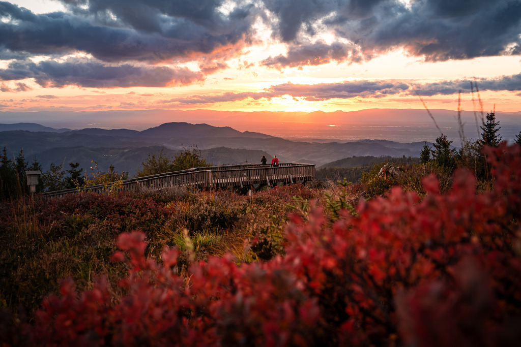 Aussichtsplattform Steinmäuerle am Schliffkopf | Abendstimmung an der Aussichtsplattform Steinmäuerle am Schliffkopf im Nordschwarzwald - Realisiert mit Pictrs.com