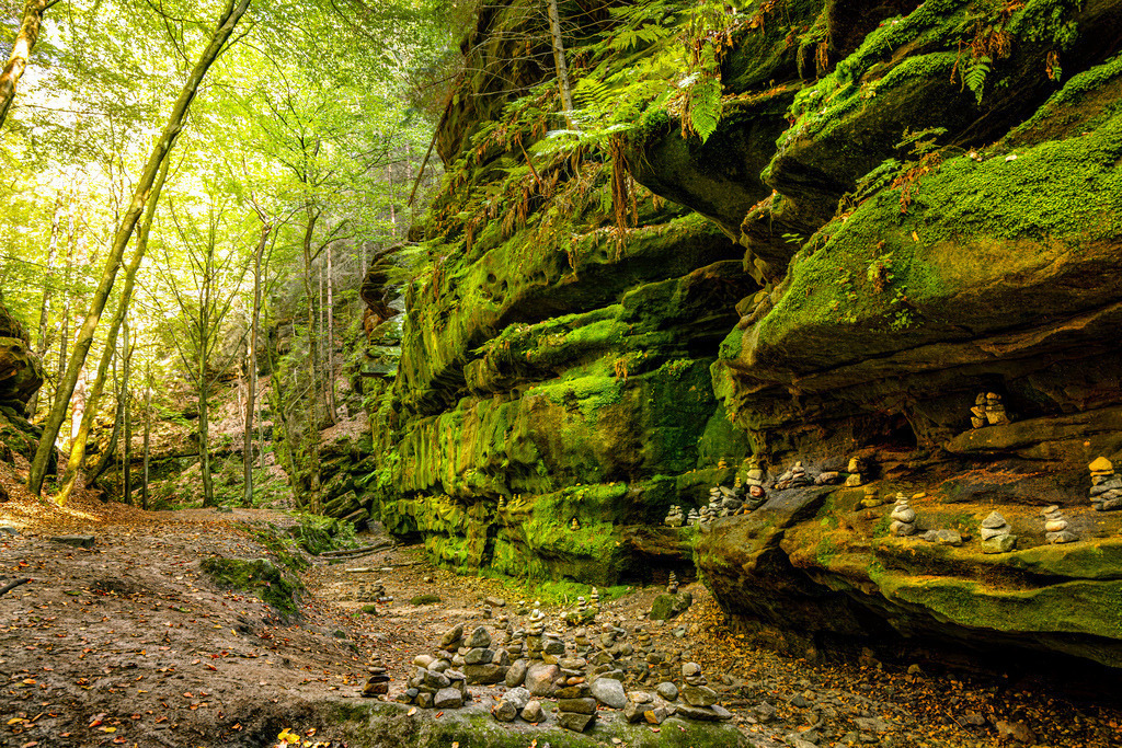 Riesige Elbsandsteinfelsen mit Moos-Flechten-Sächsische Schweiz | Lage: Elbsandsteingebirge, Sachsen, Deutschland.Besonderheit: Eine tiefe, schattige Schlucht mit moosbedeckten Sandsteinfelsen.Kultur: Die mystische Landschaft inspirierte im 18. und 19. Jahrhundert bereits Romantiker wie Ludwig Richter.Beliebtes Wandergebiet, unter anderem auf dem berühmten Malerweg - Realisiert mit Pictrs.com