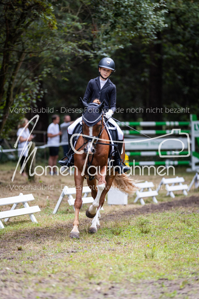 HB-Reiter-WB-069 | MomenTaufnahmen Pferdesportfotos