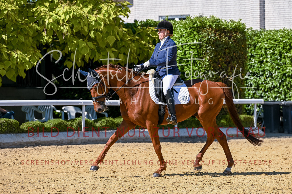 Schugtsche-Aluta25-50.Dressurpferdeprf.L-119 | Schugtsche Fotografie - Realisiert mit Pictrs.com