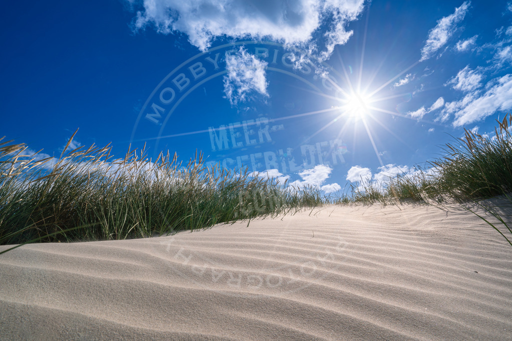 Unter der Sonne von SPO | Dünen in St. Peter-Ording