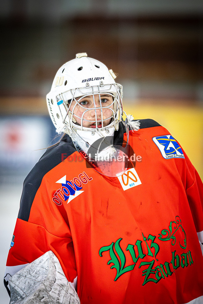 R31_3174 | Shop für Sportfotografie, Bilddatenbank, Pressefotografie, Fußball, Eishockey, Aktionsfotos