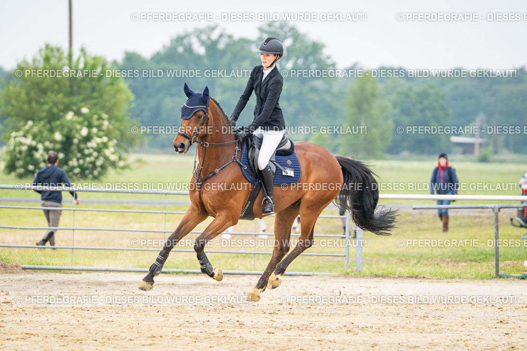 DSC09622 | Pferdegrafie