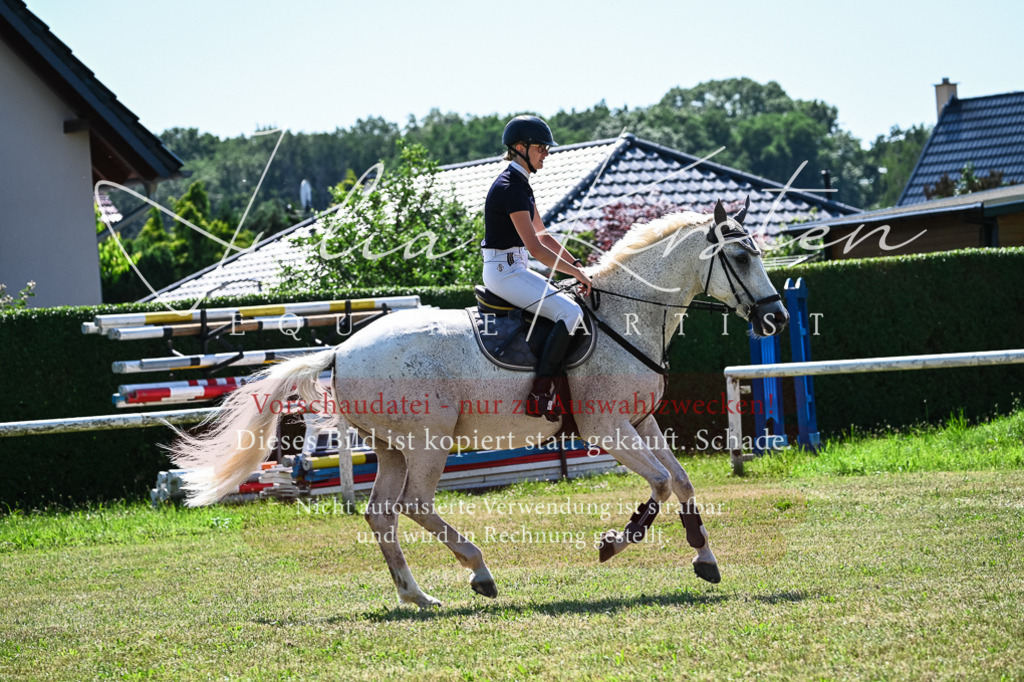 DSC_1082 | Pferde- und Turnierfotografie in Westsachsen. Pferdeportraits, Auftragszeichnungen und intuitive Kunst.