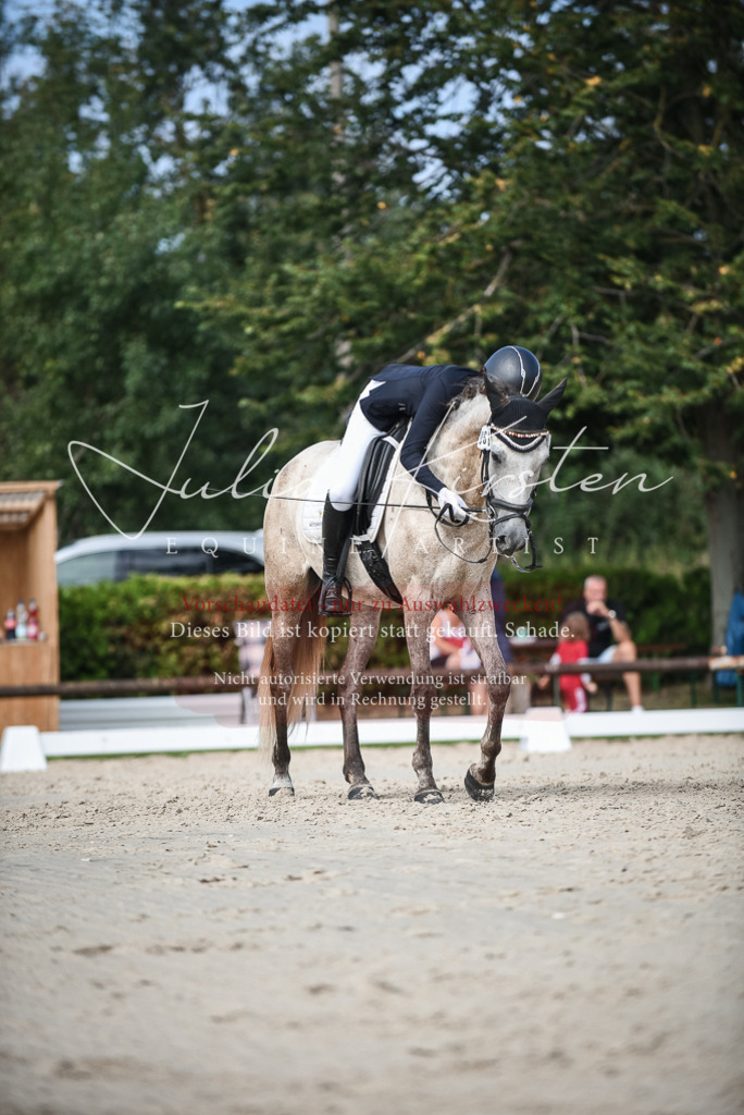 DSC_8705 | Pferde- und Turnierfotografie in Westsachsen. Pferdeportraits, Auftragszeichnungen und intuitive Kunst.
