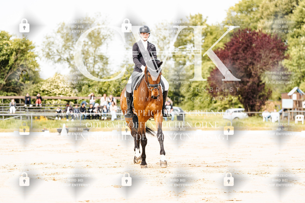 CK900739 | Turnierfotografie Pferdefotografie Trier Rheinland-Pfalz Pferdesport Reitsport Tierfotografie Sportfotografie Pferdevideo Pferdevideografie Equestrianvideography equestrianphotography  - Realisiert mit Pictrs.com