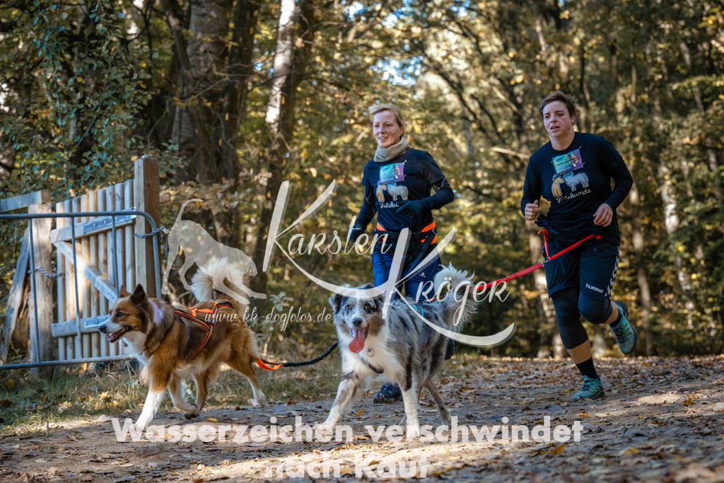 1129_ZZ92587 | kk-dogfotos