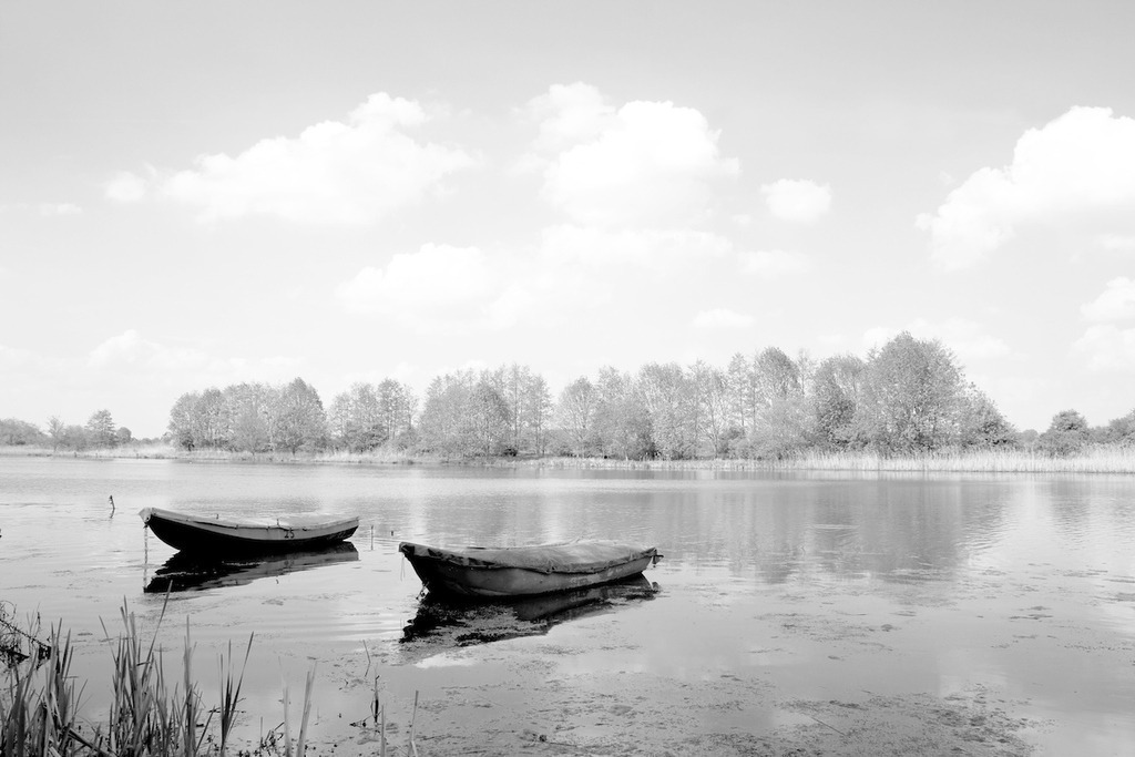 080506-274 | Europa, DEU, Deutschland, Nordrhein Westfalen, NRW, Rheinland, Niederrhein, Wyler, Alt-Rheinarm, Naturschutzgebiet Wyler Meer, Boote am Seeufer, Kategorien und Themen, Natur, Umwelt, Landschaft, Jahreszeiten, Stimmungen, Landschaftsfotografie, Landschaften, Landschaftsphoto, Landschaftsphotographie, Naturschutz, Naturschutzgebiete, Landschaftsschutz, Biotop, Biotope, Landschaftsschutzgebiete, Landschaftsschutzgebiet, Oekologie, Oekologisch, Typisch, Landschaftstypisch, Landschaftspflege......[Fuer die Nutzung gelten die jeweils gueltigen Allgemeinen Liefer-und Geschaeftsbedingungen. Nutzung nur gegen Verwendungsmeldung und Nachweis. Download der AGB unter http://www.image-box.com oder werden auf Anfrage zugesendet. Freigabe ist vorher erforderlich. Jede Nutzung des Fotos ist honorarpflichtig gemaess derzeit gueltiger MFM Liste - Kontakt, Uwe Schmid-Fotografie, Duisburg, Tel. (+49).2065.677997, schmid.uwe@onlinehome.de, www.image-box.com] - Realisiert mit Pictrs.com