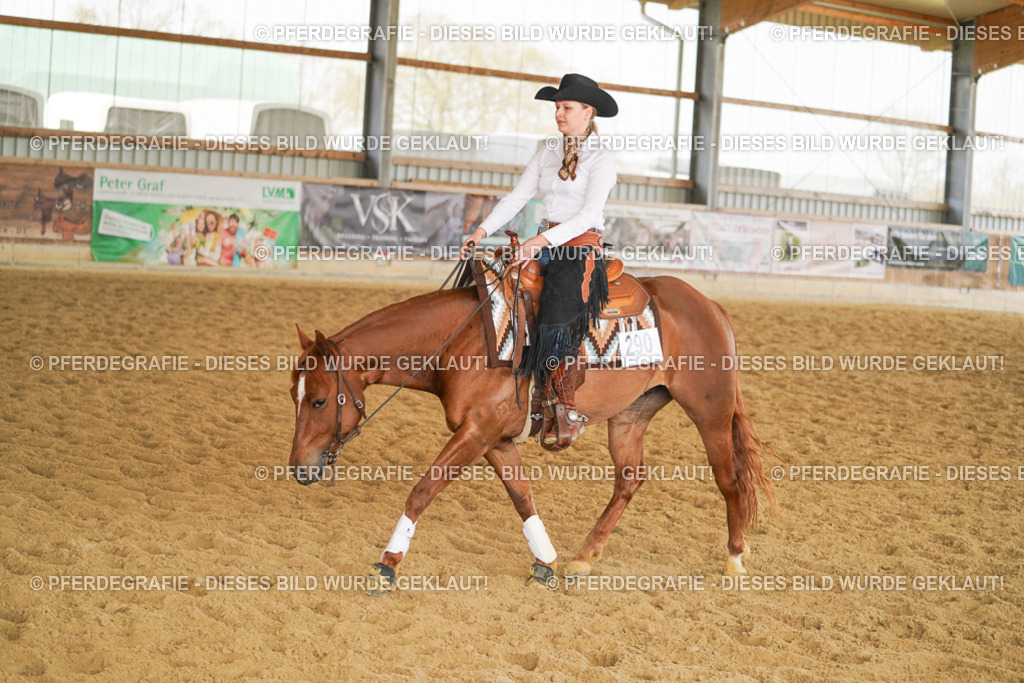 DSC05979 | Pferdegrafie