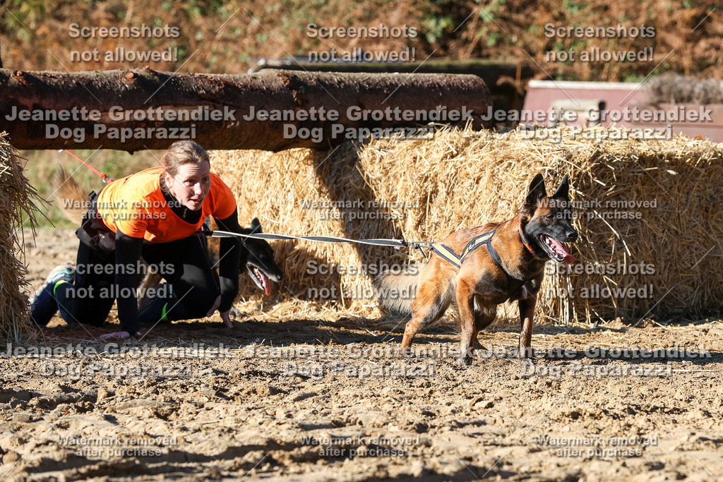 Dog Paparazzi - Strongdog 10-25-2022 | Dog Paparazzi Jeanette Grottendiek Fotografie & Videografie - Realisiert mit Pictrs.com