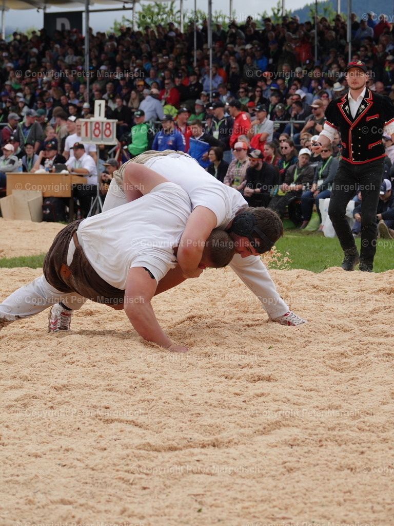 DSC08035 | Schwingen - Realisiert mit Pictrs.com