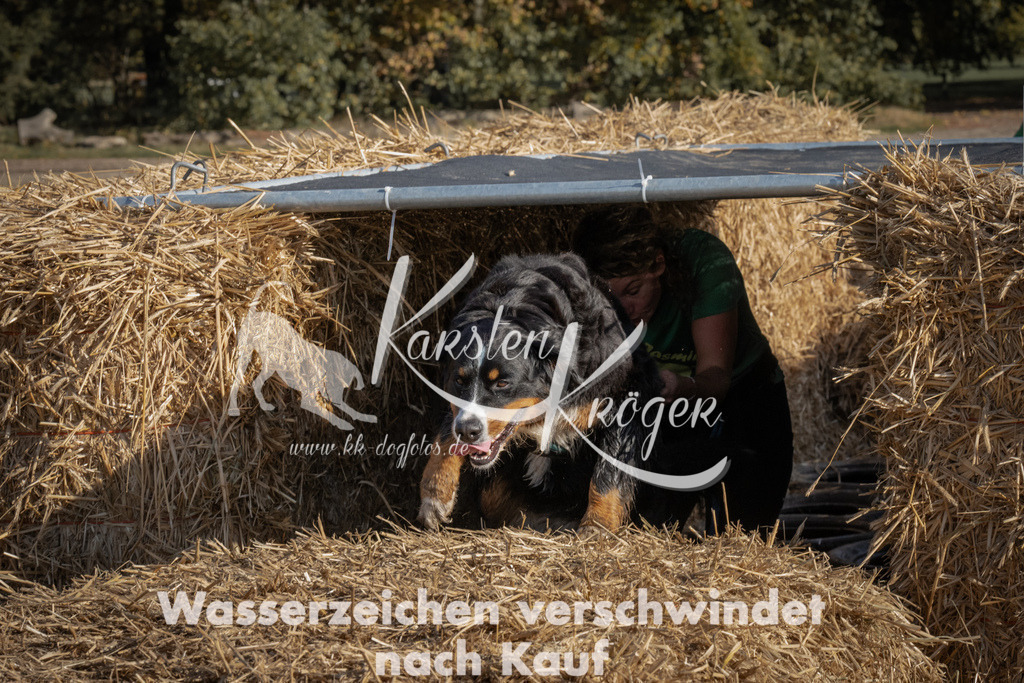 1055_ZZ99604 | kk-dogfotos
