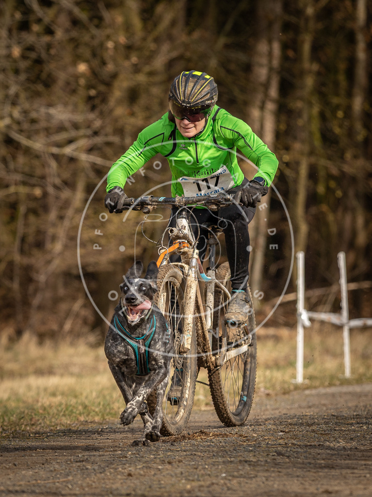 DV3A4416 | Hundefotografie, Tierfotograf, Pfotenfotografie, Fotoshooting Hund, Hunde Portrait, Hundesport, Hundeportraits, Heideshooting, Hunde, Sportfotograf, Hundefotograf, Turnierhundsport, THS,  - Realisiert mit Pictrs.com