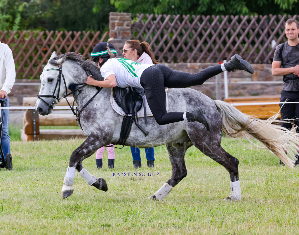 1B3A4508 | Reitsport Reiten