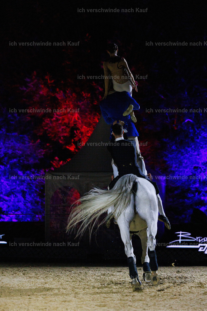 FHClassics-224 | working equitationturnier fotograf videograf stoibphotography marixx film working equitation deutschland reitsport turnierfotografie eventfotografie equestrian events