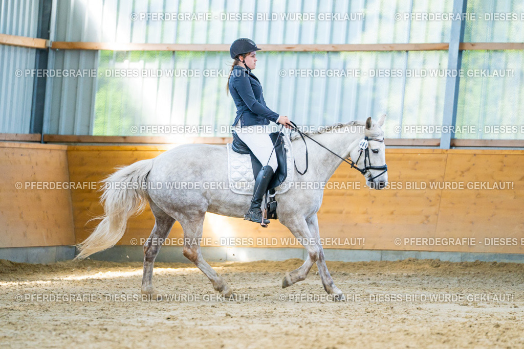 DSC06958 | Pferdegrafie