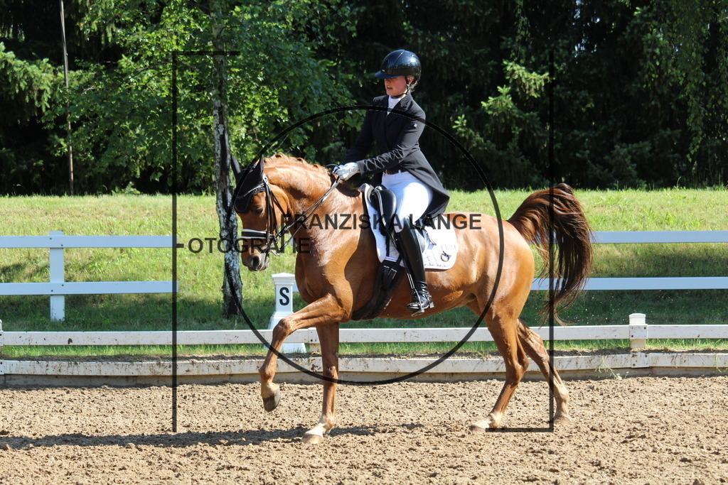 IMG_6511 | franziskalange - Realisiert mit Pictrs.com