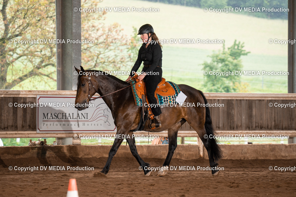 Erbach Tag 3-335 | dv-media-shop - Realisiert mit Pictrs.com