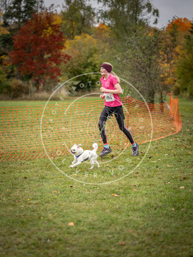 Pfotenfotografie_DV3A3480 | Hundefotografie, Tierfotograf, Pfotenfotografie, Fotoshooting Hund, Hunde Portrait, Hundesport, Hundeportraits, Heideshooting, Hunde, Sportfotograf, Hundefotograf, Turnierhundsport, THS,  - Realisiert mit Pictrs.com