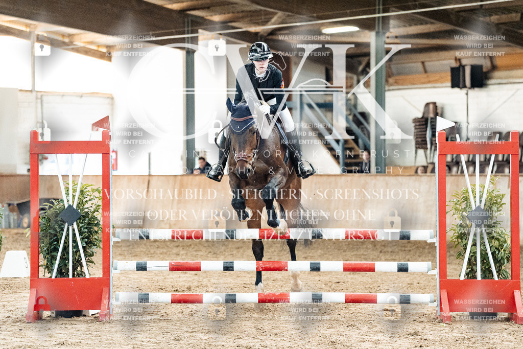 CK904580 | Turnierfotografie Pferdefotografie Trier Rheinland-Pfalz Pferdesport Reitsport Tierfotografie Sportfotografie Pferdevideo Pferdevideografie Equestrianvideography equestrianphotography  - Realisiert mit Pictrs.com