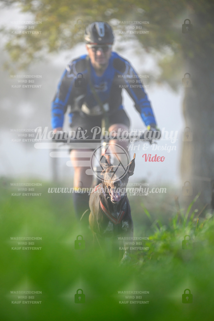 MompixPhotography_20TSB_E3_Bike-91 | PayLife