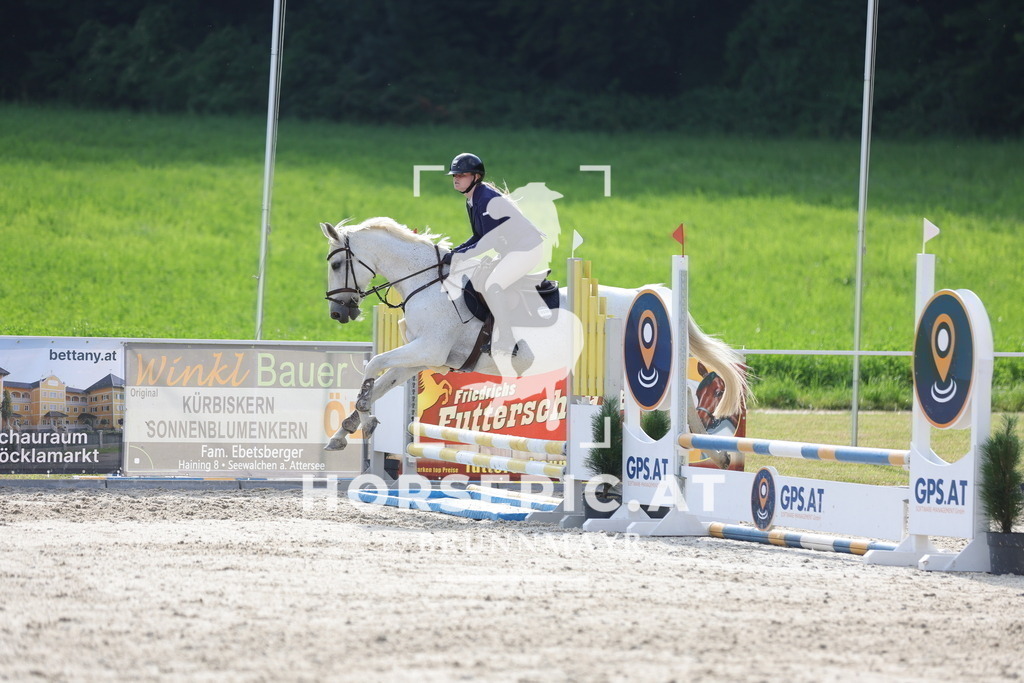 0P6A5941 | Willkommen bei Brunnmayr - Design & Fotografie – Ihrem Spezialisten für Reitturniere und Pferdeveranstaltungen in Oberösterreich, Salzburg und Bayern! Seit über 17 Jahren sind wir leidenschaftlich dabei.